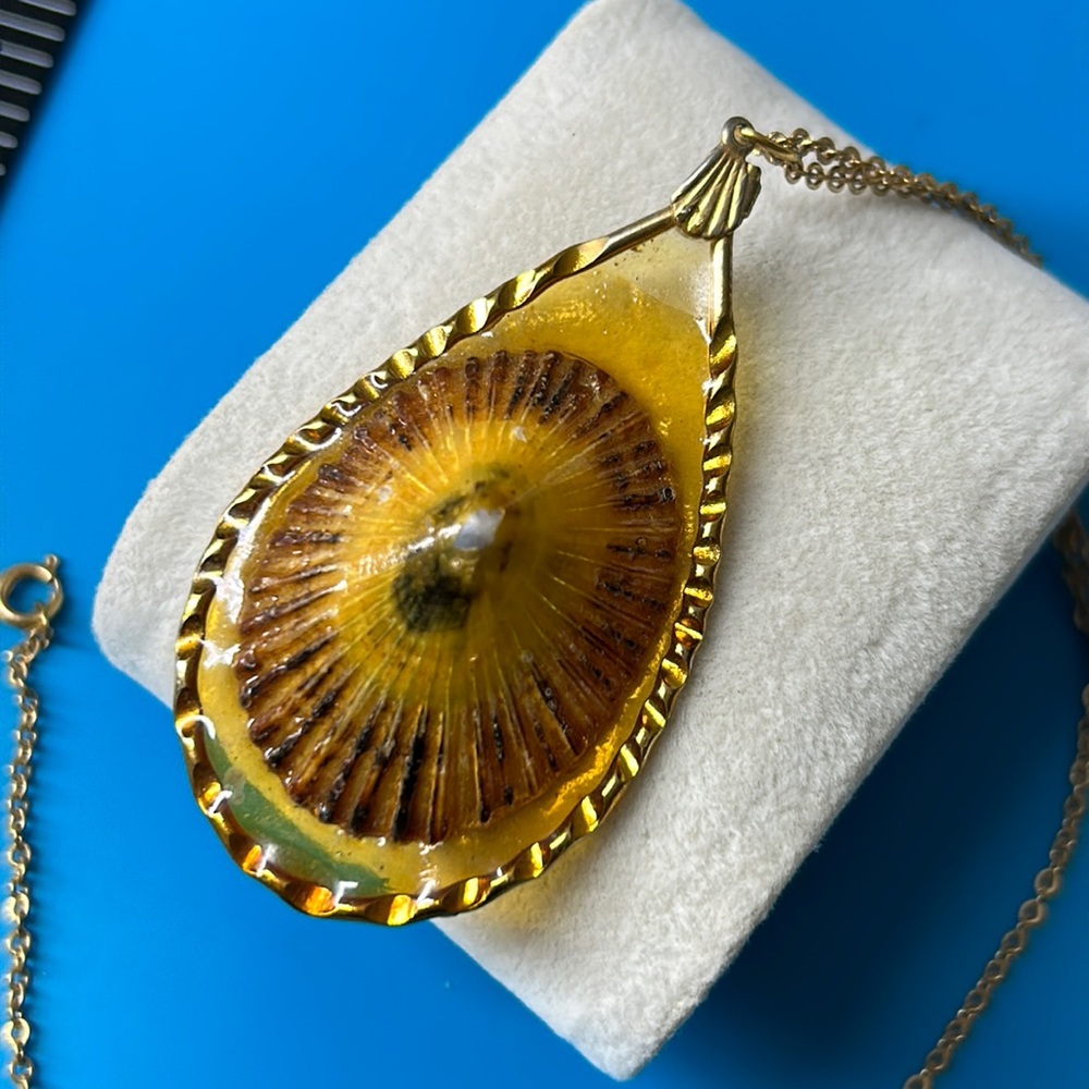 🖤Vtg Hawaiian Opihi shell pendant necklace - Picture 3 of 13